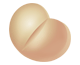 ZEBETA